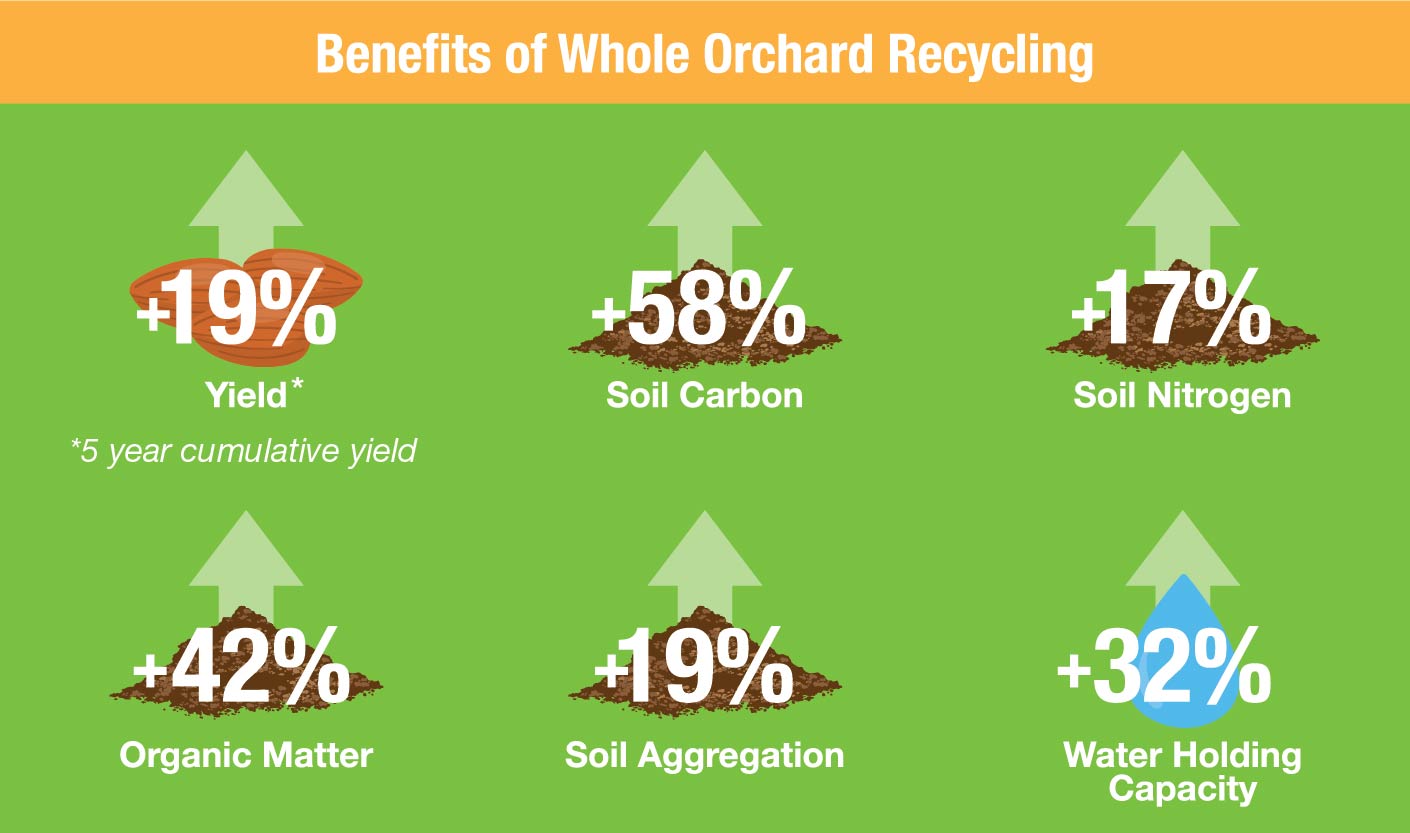 Benefits-of-Whole-Orchard-Recycling_Culumber-Research-2020-01_2.jpg