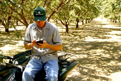 almond farmer using his cell phone