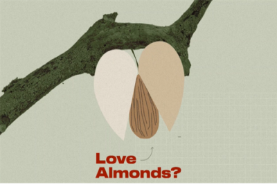 Love almonds Vox Image