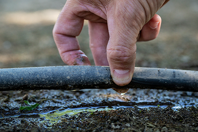 Irrigation Maintenance