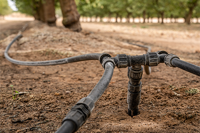 Irrigation Improvements