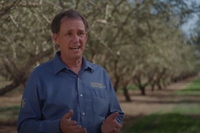 Whole Orchard Recycling – A Grower’s How To