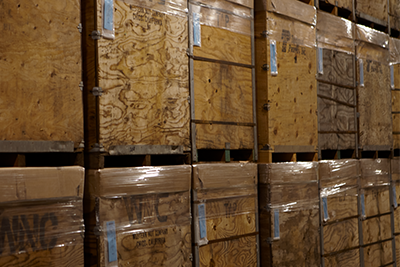 Warehouse Pests