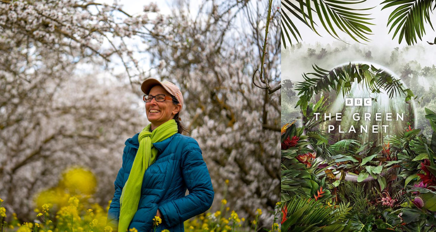 Christine Gemperle on the left and BBC green planet logo on the right