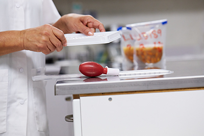 Food Safety