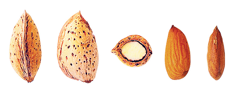 Types on sale of almonds