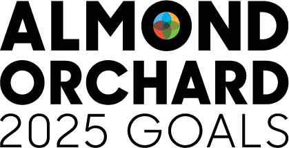 ALM_2025-Goals_Secondary_CMYK+RichK.png