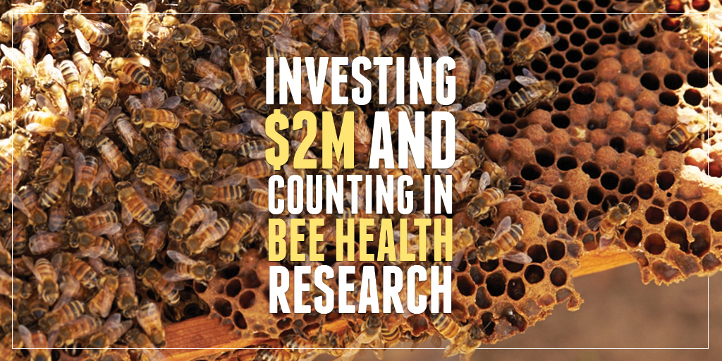 bee research.jpg