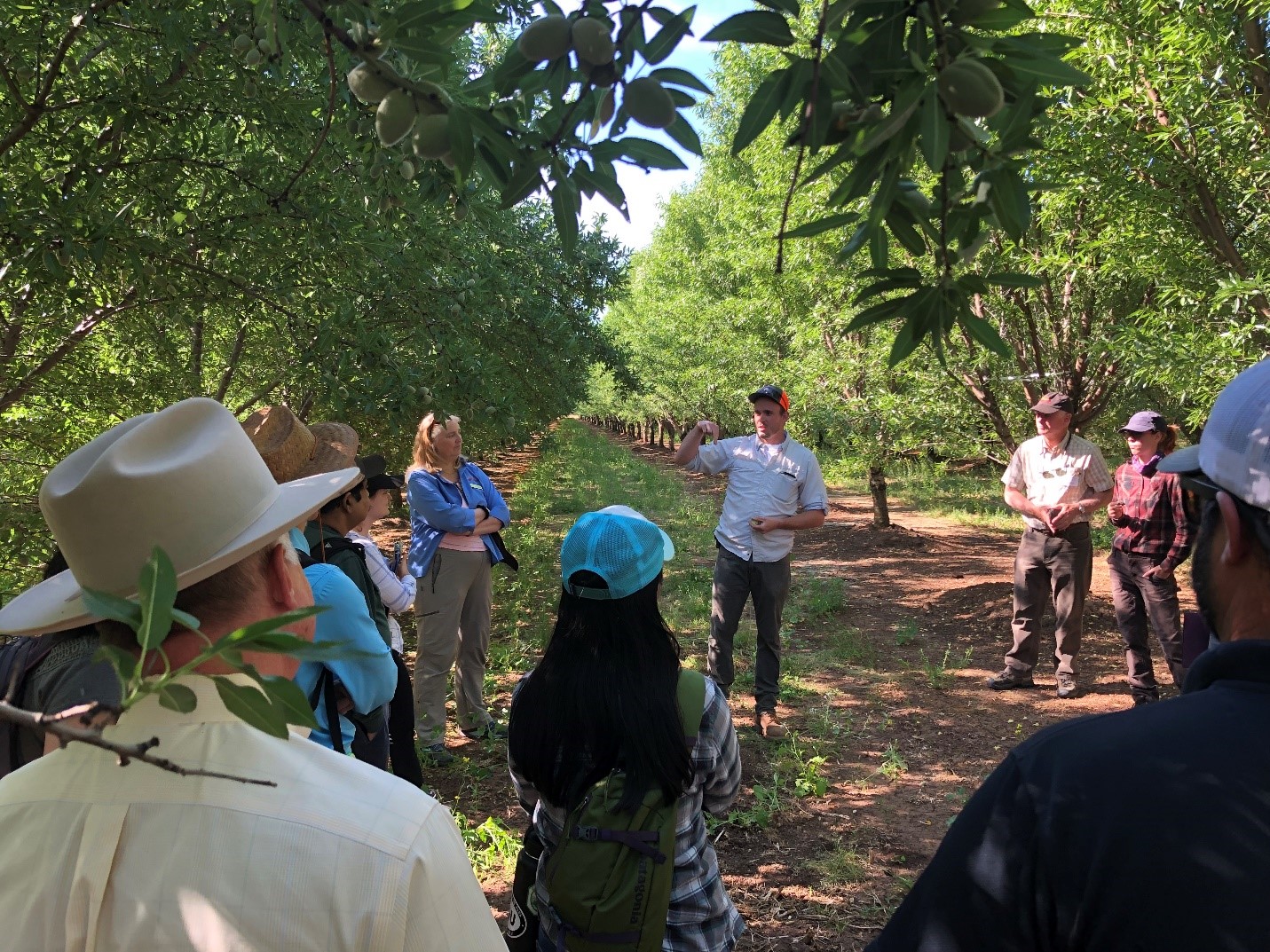 Regulators attend almond environmental stewardship tour