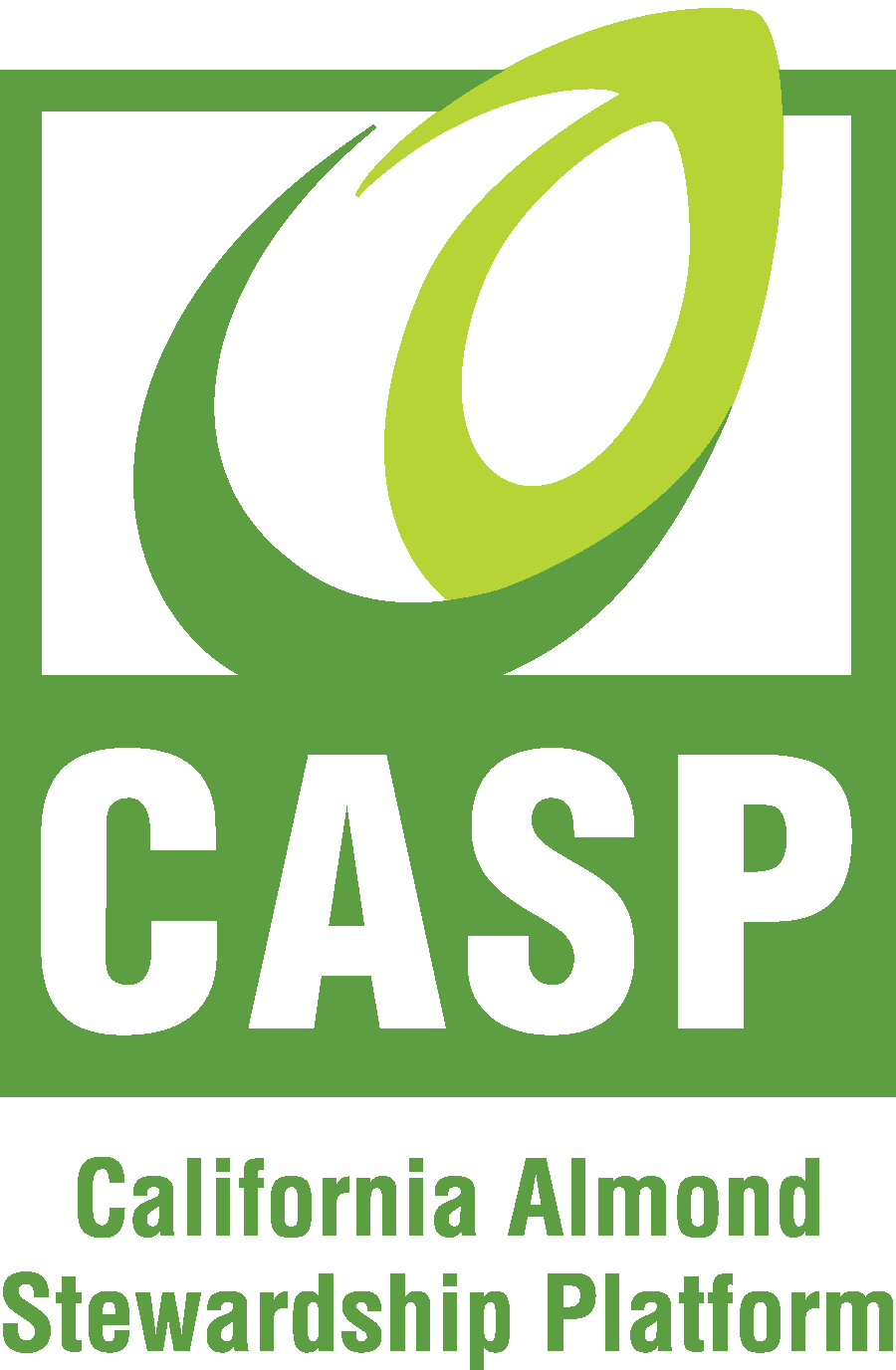 CASP Logo