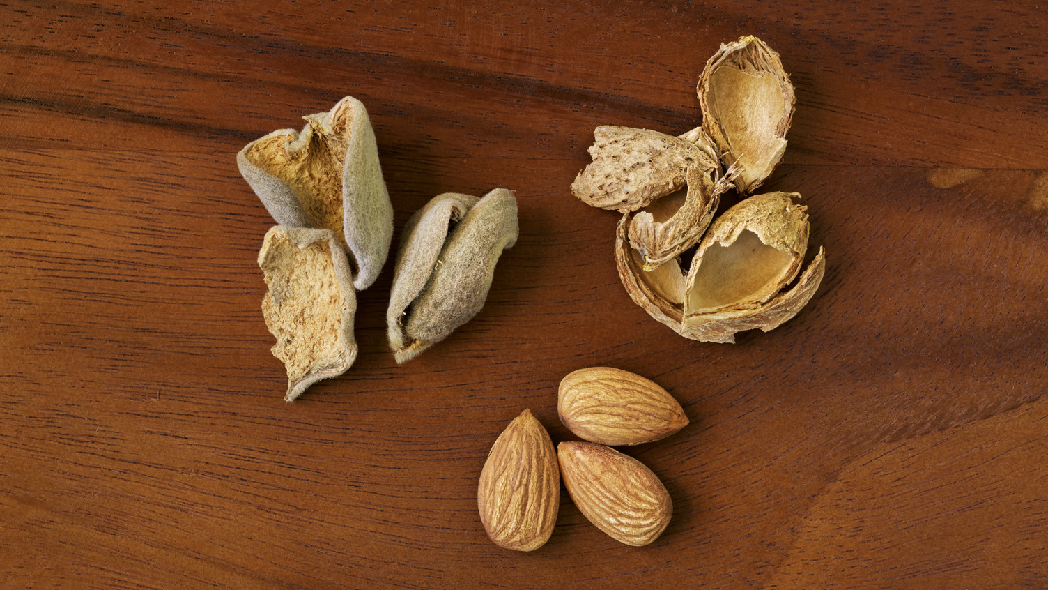 almond coproducts