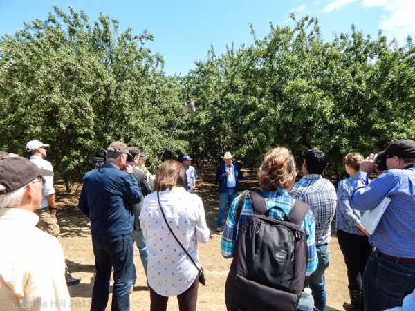 Environmental Tour Showcases Almond Water Challenges and Stewardship 