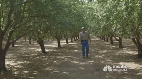 Almond Growers Talk About Farming During Drought