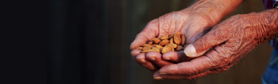 USDA Forecasts California Almond Crop Down 3.5 Percent