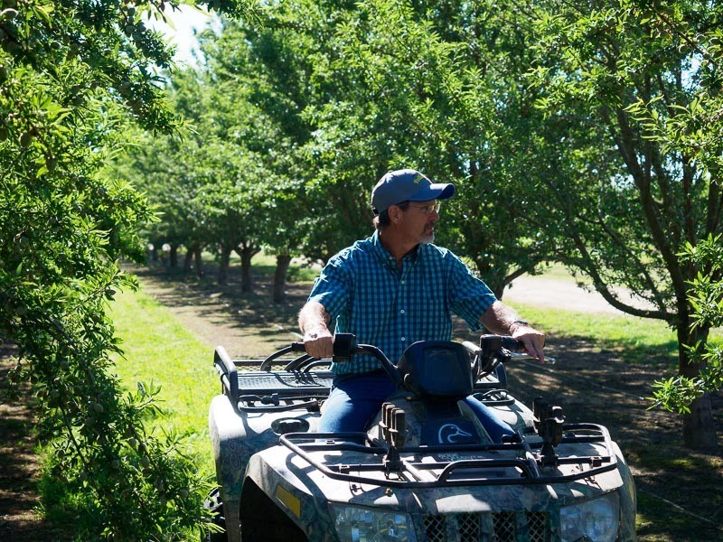 California Almond Acreage Increases in 2018